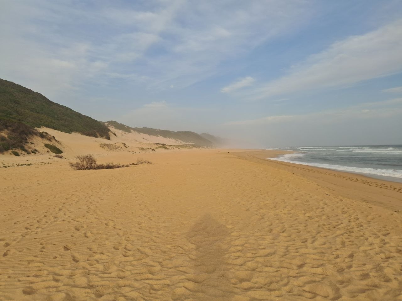 Wilderness Beach at sunset, sand blowing along the empty shoreline